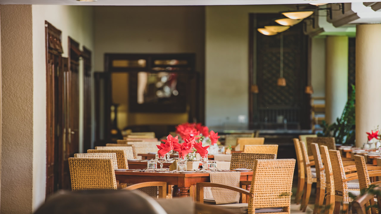 All you can eat Dinner Buffet | Aanari Hotel & Spa